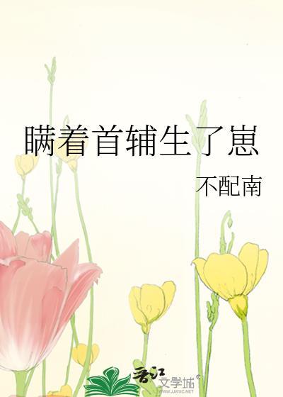 瞒着首辅生了崽阮玲珑免费阅读