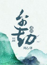 中国航海家南极行途中遇劫