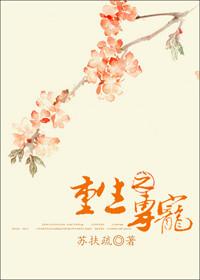 重生之专宠小娘子