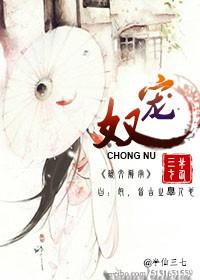 宠奴古言
