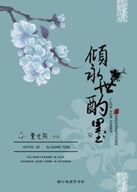 倾世书