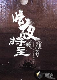 暗夜将至百度