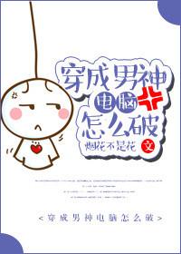 穿成男神的电脑怎么办