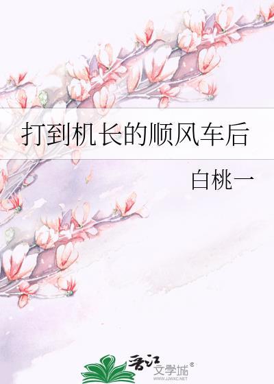 打到机长的顺风车后百度