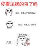 你看见我的鸟了吗百度