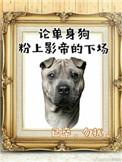 影帝爱撒糖全文阅读