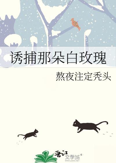 诱捕那朵白玫瑰熬夜注定头秃