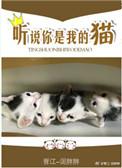 听说你是我的猫完整版