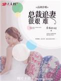 髙冷总裁的追妻攻略