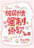 强制被爱 作者檀岚