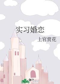 实习婚恋TXT