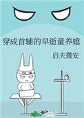 穿成首辅的早逝童养媳启夫微安