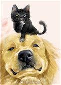 穿成猫后靠玄学走红