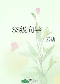 SS级向导+番外