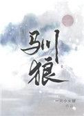驯狼by桃桃乌龙
