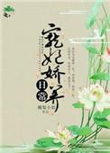 宠妃娇养日常作者椰梨小姐