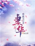妻华txt