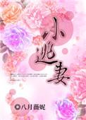 小逃妻桓素舸喜欢谁