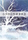 小少爷总想着爹爹休妻