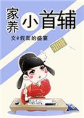 家养小首辅 晋江