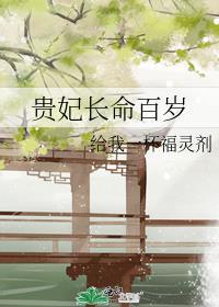 贵妃长寿的小高