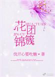 花团锦簇什么意思