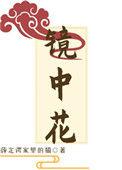 镜中花by无梦免费阅读