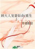 顾大人宠妻如命txt百度
