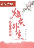 穿成反派的炮灰外室百度
