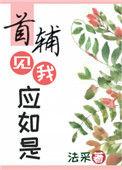 首辅见我应如是法采
