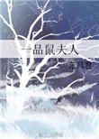 一品夫人是啥意思