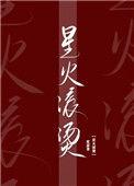 星火滚烫txt提取码
