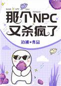 那个npc又杀疯了免费阅读全文