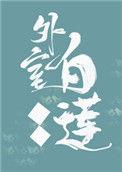 外室白莲手册无删减