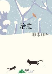 治愈者韩剧