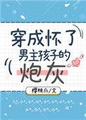 穿成怀了男主孩子的炮灰免费版