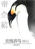 帝企鹅在线养鸟TXT百度