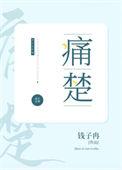 痛楚的含义