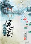 清朝之宠妾大结局