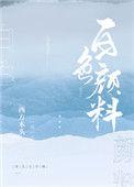 替代钛白粉的白色颜料