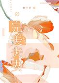 完美夫妻第48集