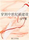 穿到中世纪搞建设 作者江千里