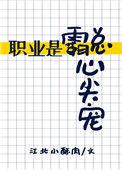 职业总裁