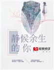 余生静好下一句是什么