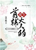 首辅大人宠妻日常格格党