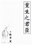 重生之君臣by步帘衣讲的什么