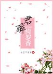 倾城小佳人简介