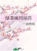 绿茶味玛丽苏27