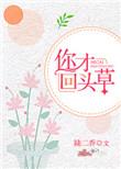 你回头时我已走远最新章节免费阅读
