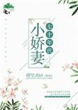 七十年代小娇媳